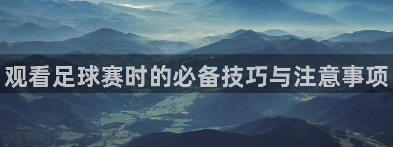 观看足球赛时的必备技巧与注意事项