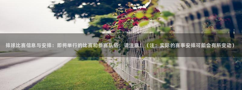 排球比赛信息与安排：即将举行的比赛和参赛队伍，请注意！（注：