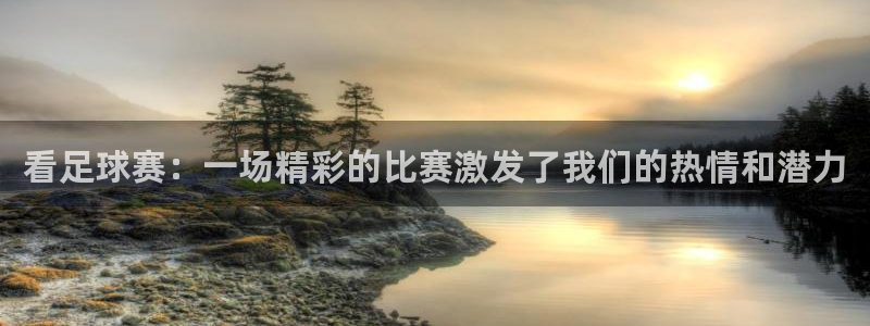 看足球赛：一场精彩的比赛激发了我们的热情和潜力