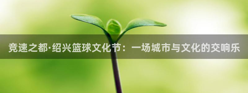 中欧体育app现在登录：竞速之都·绍兴篮球文化节：一场城市与