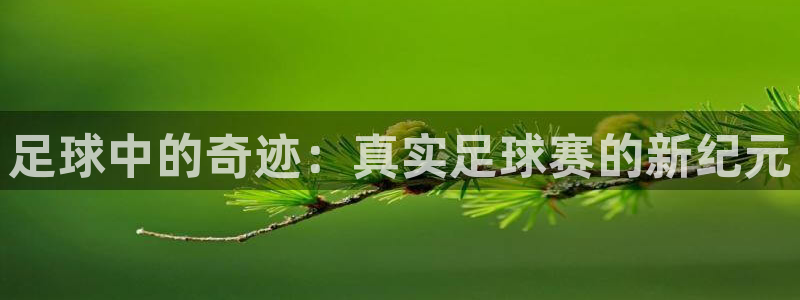 中欧体育以前叫什么