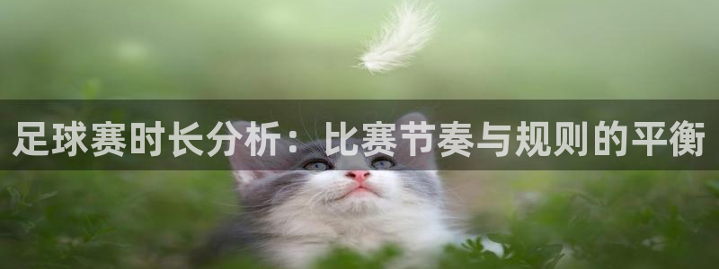 中欧体育是正规公司吗：足球赛时长分析：比赛节奏与规则的平衡