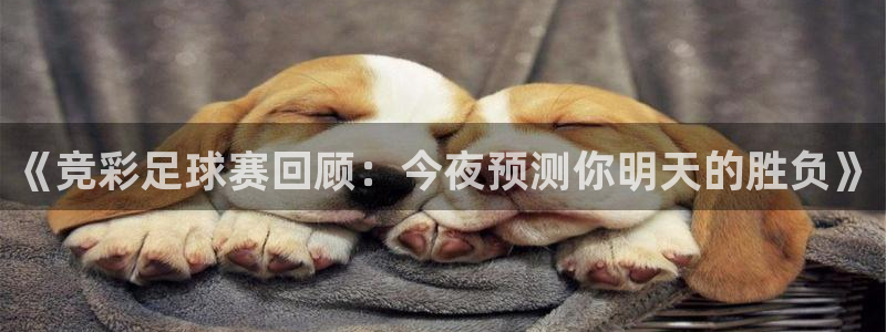 中欧体育客服：《竞彩足球赛回顾：今夜预测你明天的胜负》