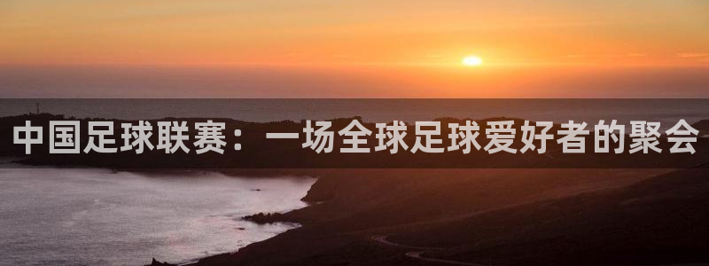 中欧体育app平台入口在哪：中国足球联赛：一场全球足球爱好者