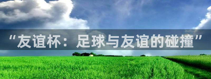 中欧体育登录入口官网：“友谊杯：足球与友谊的碰撞”